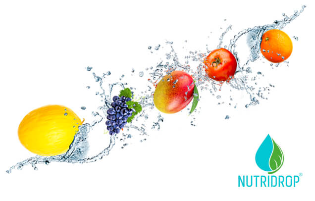 NUTRIDROP® 12.61: precise formula for optimal nutrition